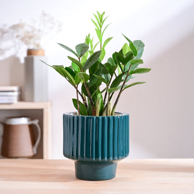 Forms of Love Ceramic Planter