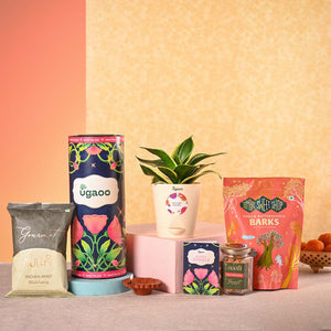 Snake Plant & Bombay Sweet Shop Diwali Gift Hamper