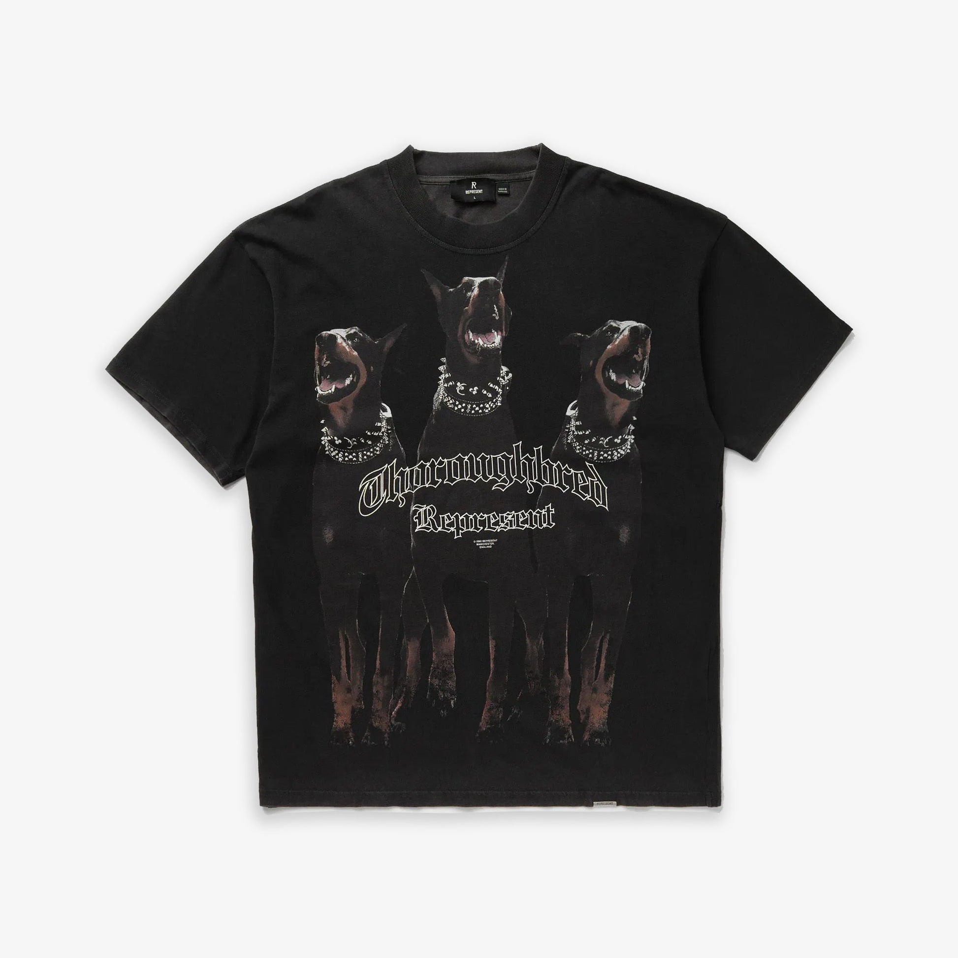 REPRESENT | THOROUGHBRED T-SHIRT { VINTAGE BLACK