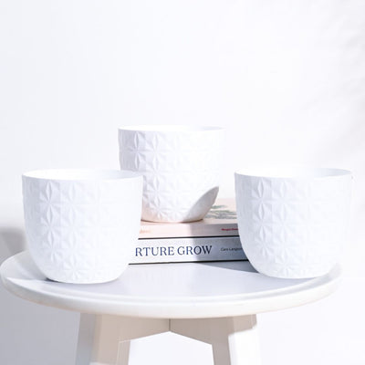 Verona Diamond Planter