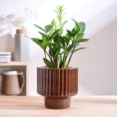 Forms of Love Ceramic Planter