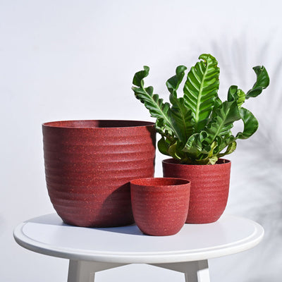 Verona Eco Planter - Set of 3