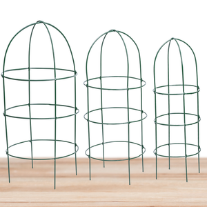 Trellis Plant Support Stands - Set of 3