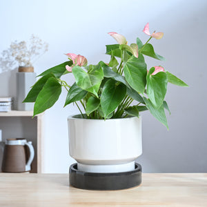 Soothing Rains Ceramic Planters