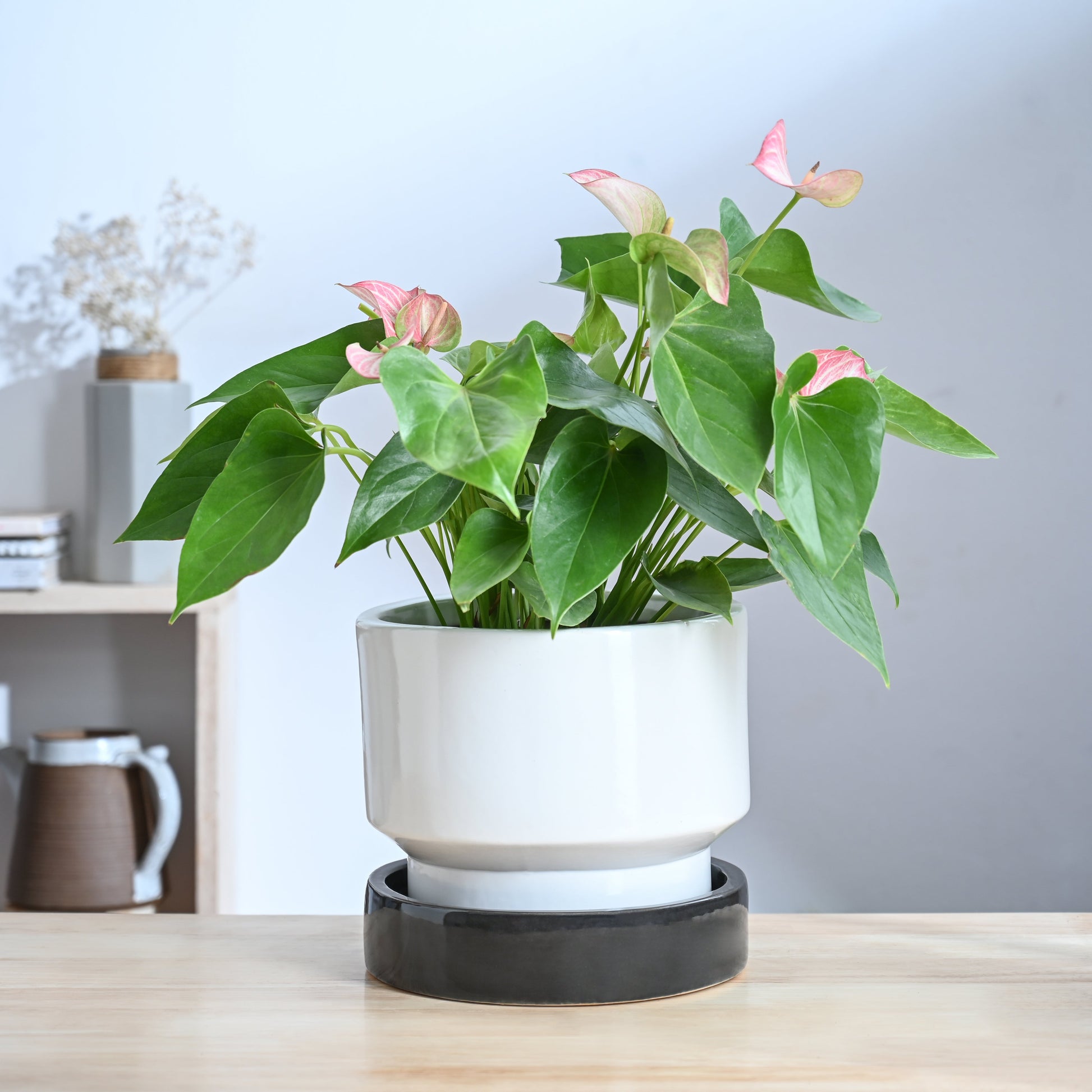 Soothing Rains Ceramic Planters