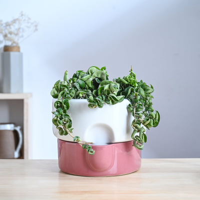 Flower Sunflower Ceramic Planter