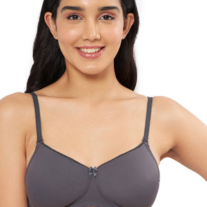 Smooth Elegance Padded Non-wired T-shirt Bra - Gray Pinstripe