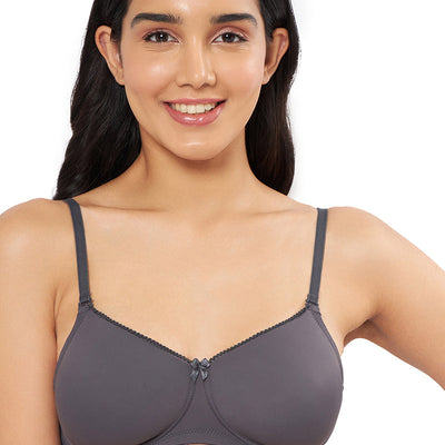 Smooth Elegance Padded Non-wired T-shirt Bra - Gray Pinstripe