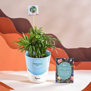 Bamboo Palm Plant For Environment Day Gifting