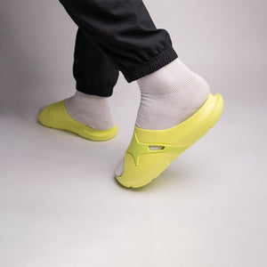 Slides LIME