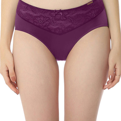 Elegant Lace Hipster Panty - Pickled Beet & Stucco