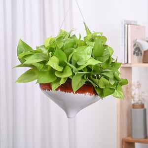 Ceramic Hanging Pot Cosmic Stone