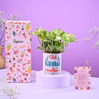 Money Plant N'joy in Ceramic Pot Women's Day Gift