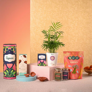 Bamboo Palm Plant & Bombay Sweet Shop Diwali Gift Hamper