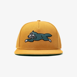 Icecream | RUNNER SNAPBACK HAT  { TOAST