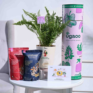 Fern Morpankhi Housewarming Gift Hamper