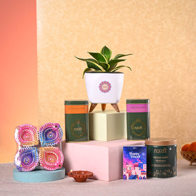 Snake Plant Golden Hahnii & Nutki Diwali Gft Hamper