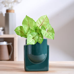 Cats are Gods Ceramic Planter