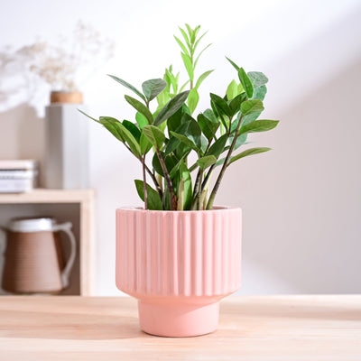 Forms of Love Ceramic Planter