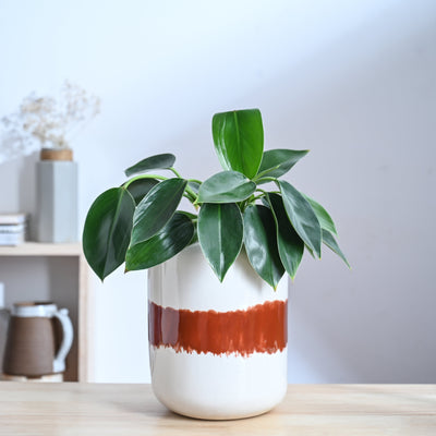 Twilight Clouds Ceramic Planter