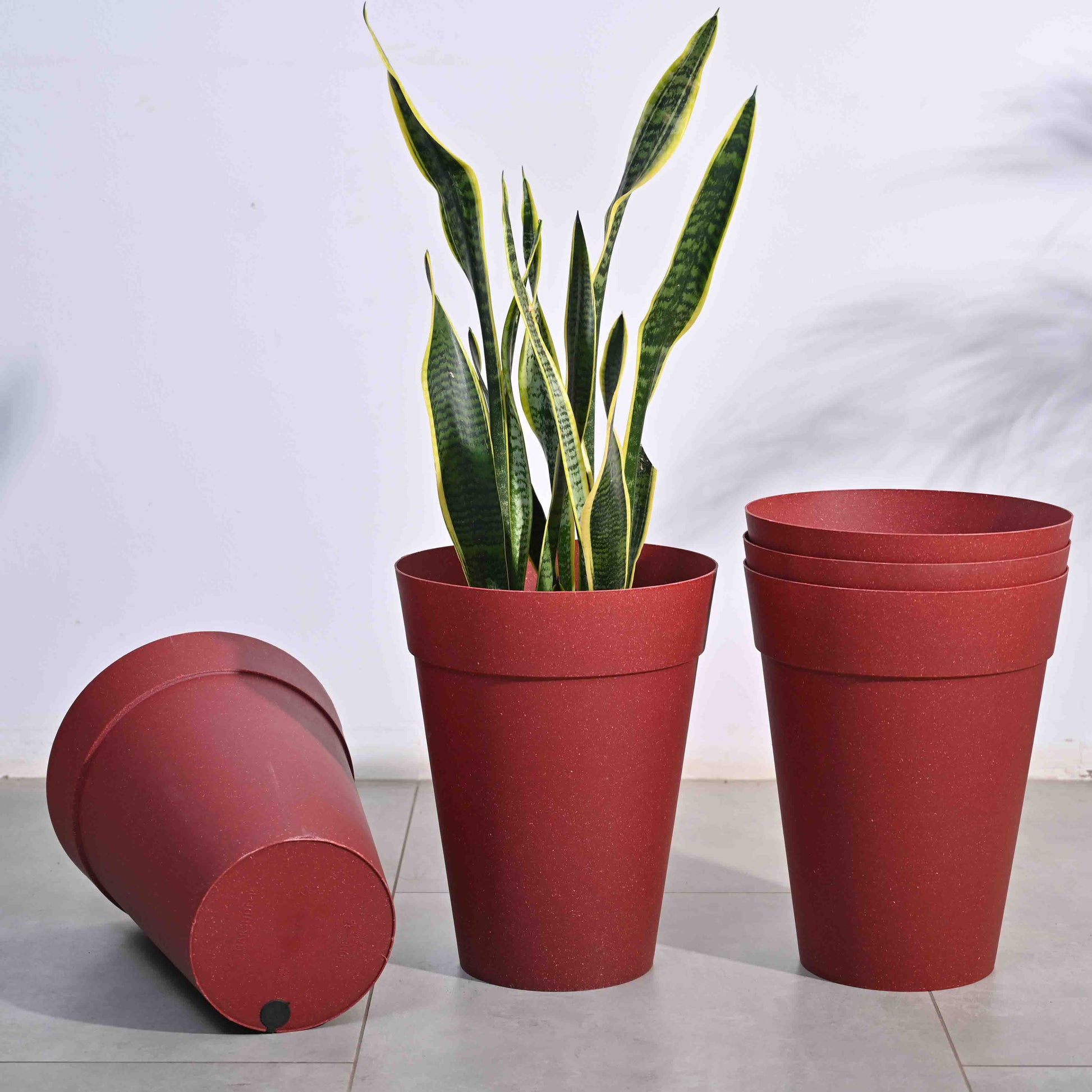 Roma Plastic Planter