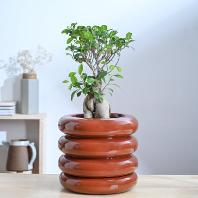 Tiny Kisses Ceramic Planter