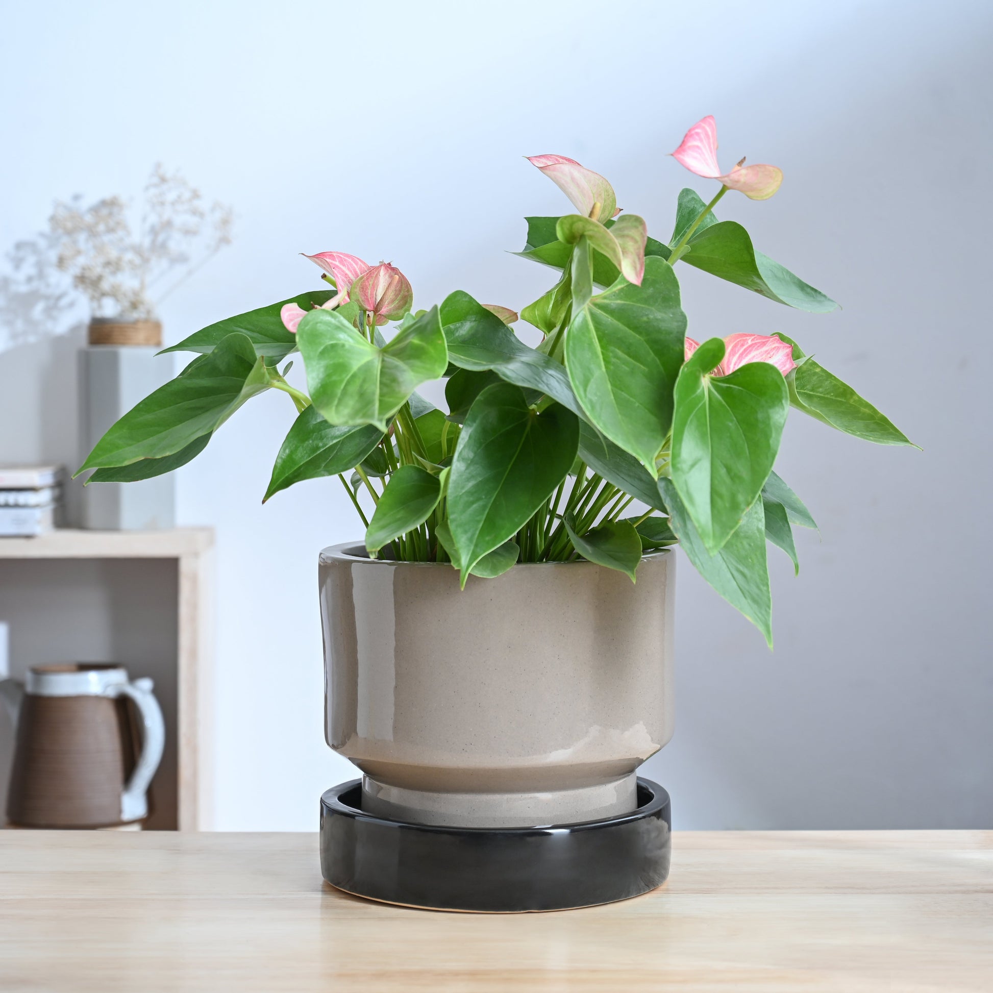 Soothing Rains Ceramic Planters