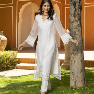 Sophia Organza Straight Kurta Set