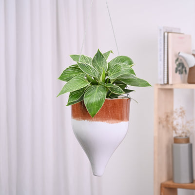 Ceramic Hanging Pot Cosmic Stone