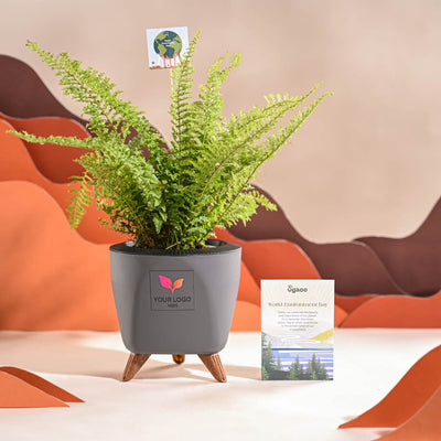 Fern Morpankhi For Environment Day Gifting
