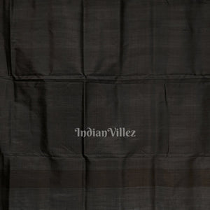 Black Pasapali Border Odisha Ikat Contemporary Silk Saree