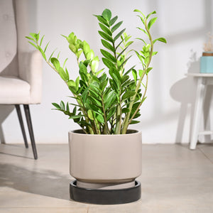 Soothing Rains Ceramic Planters