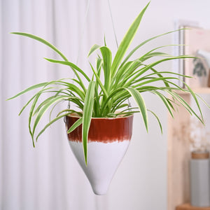 Ceramic Hanging Pot Cosmic Stone