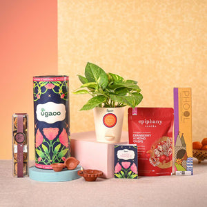 Money Plant Variegated & Phool Diwali Gift Hamper