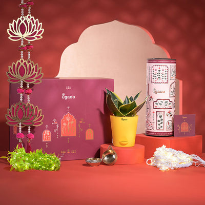 Breath of Air Diwali Gift Hamper