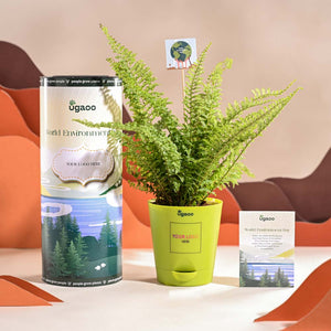 Fern Morpankhi For Environment Day Gifting
