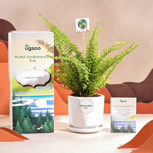 Fern Morpankhi For Environment Day Gifting