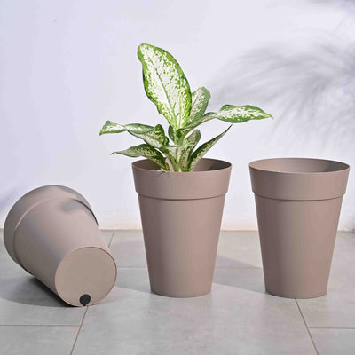 Roma Plastic Planter