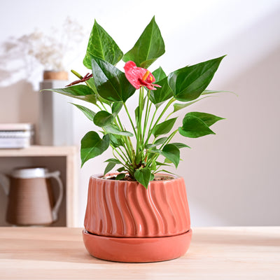 Fallen Angel Ceramic Planter