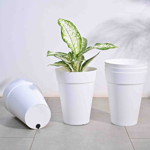 Roma Plastic Planter