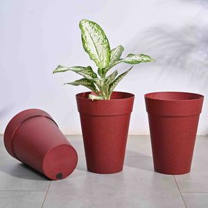 Roma Plastic Planter