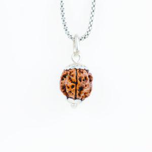 Silver Capping 3 Mukhi Rudraksha Pendant With Chain  ( Nepali )