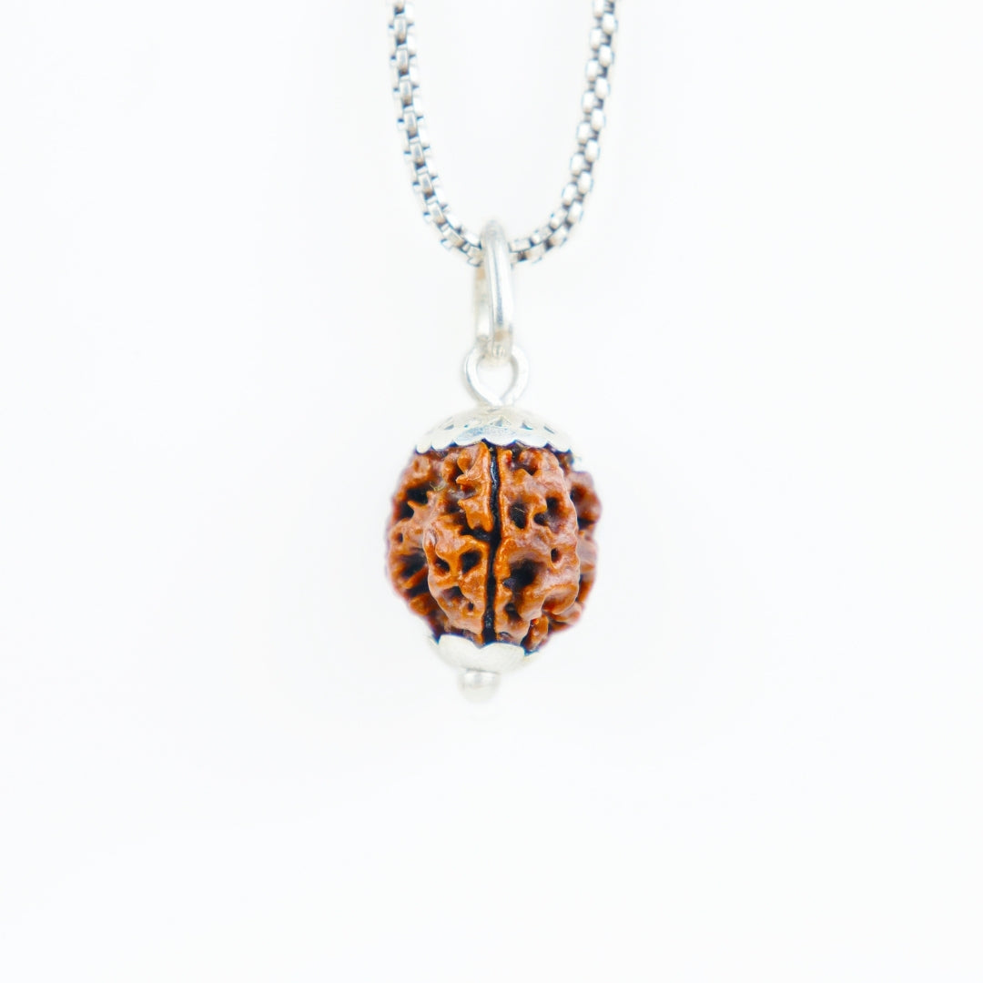 Silver Capping 3 Mukhi Rudraksha Pendant With Chain  ( Nepali )