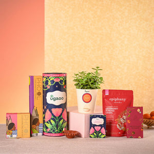 Jade Mini Plant & Phool Stick Box Diwali Gift Hamper