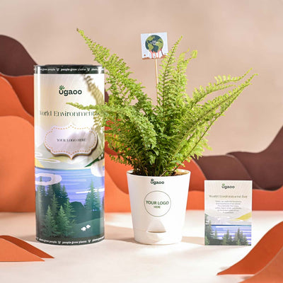 Fern Morpankhi For Environment Day Gifting