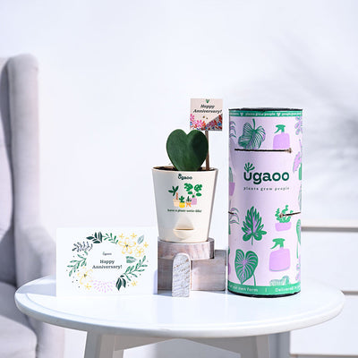 Heart Hoya Anniversary Gift Hamper
