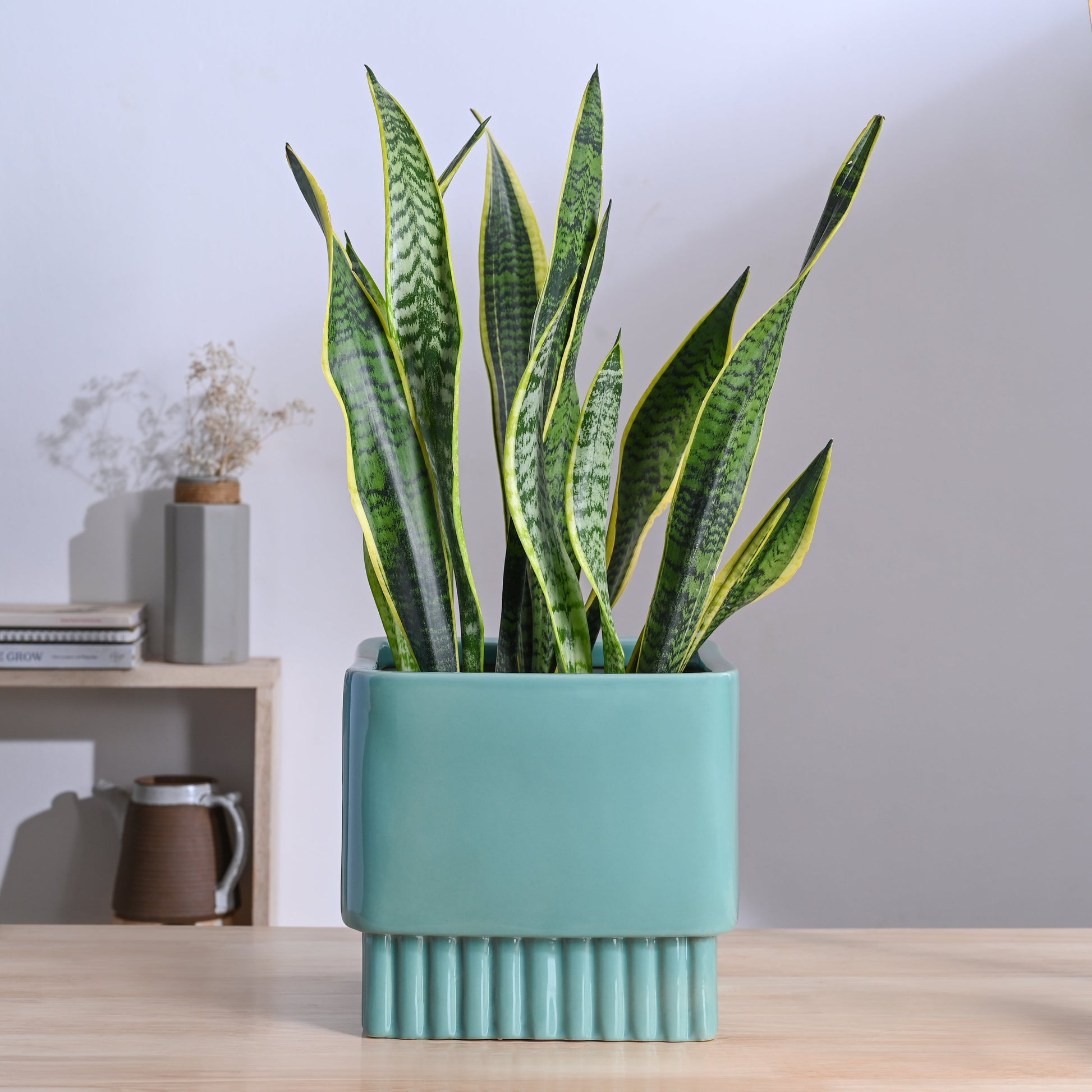 Immortal Nights Ceramic Planter