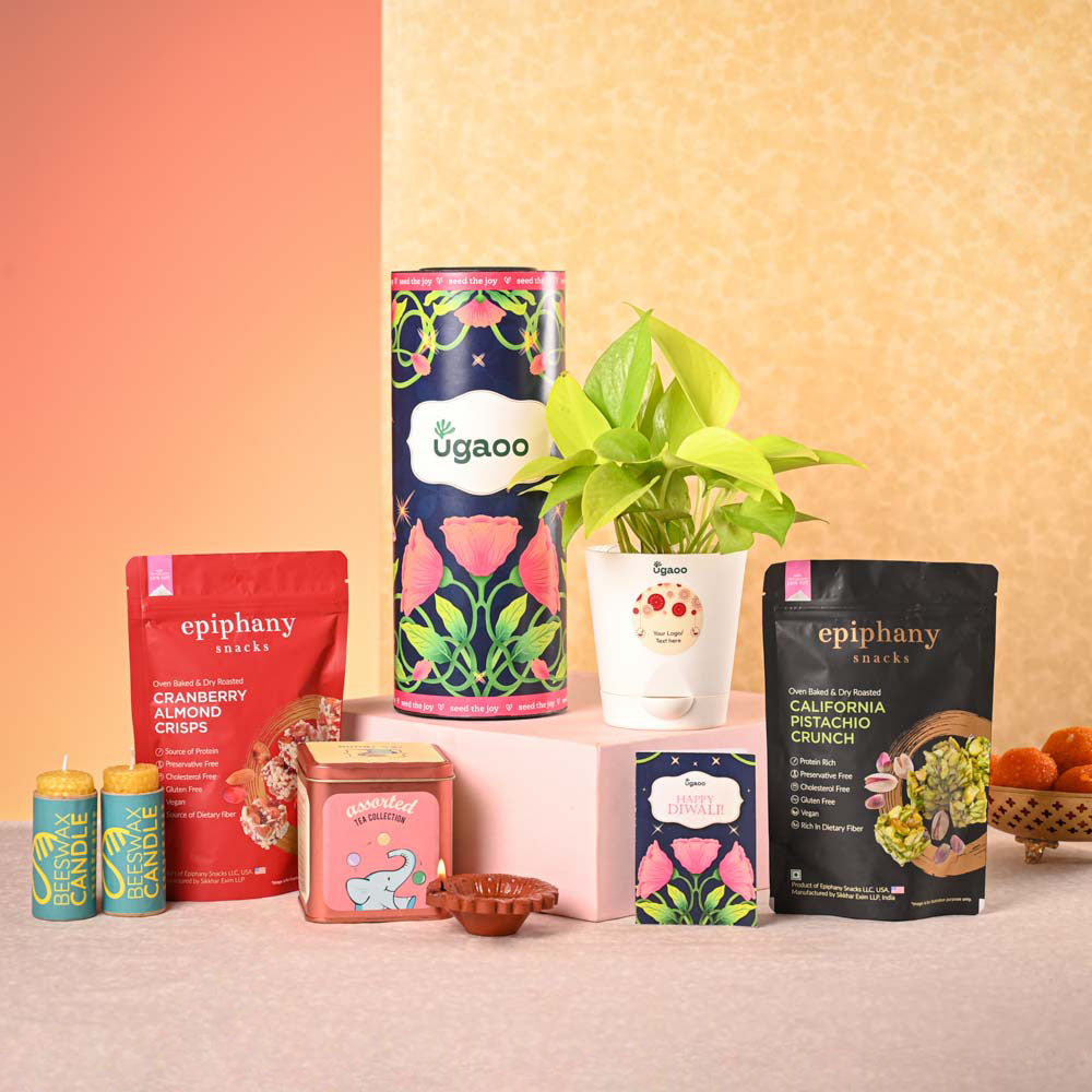 Money Plant Golden Plant & Tea Trunk Diwali Gift Hamper