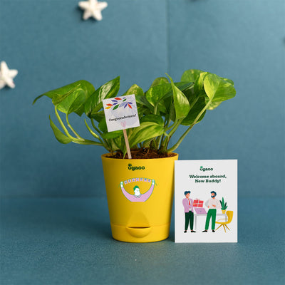 Employee Kit of Plant with Cork Notebook, Pen & Bamboo Vacuum Flask