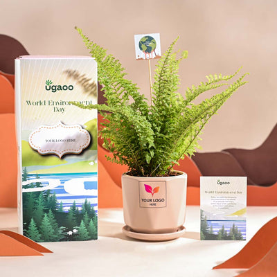 Fern Morpankhi For Environment Day Gifting